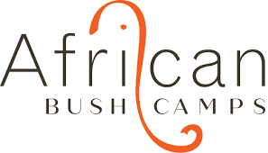 African Bush Camos