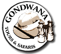 Gondwana Logo PNG