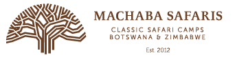 Machaba Safari Logo Brown